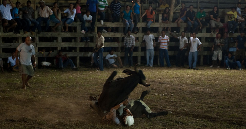 Bull riding 3