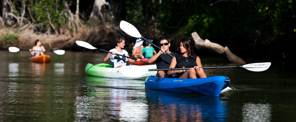 Kayaking and wildlife 2